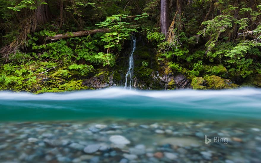 Bacon Creek, Mount Baker-Snoqualmie National Forest, Washington