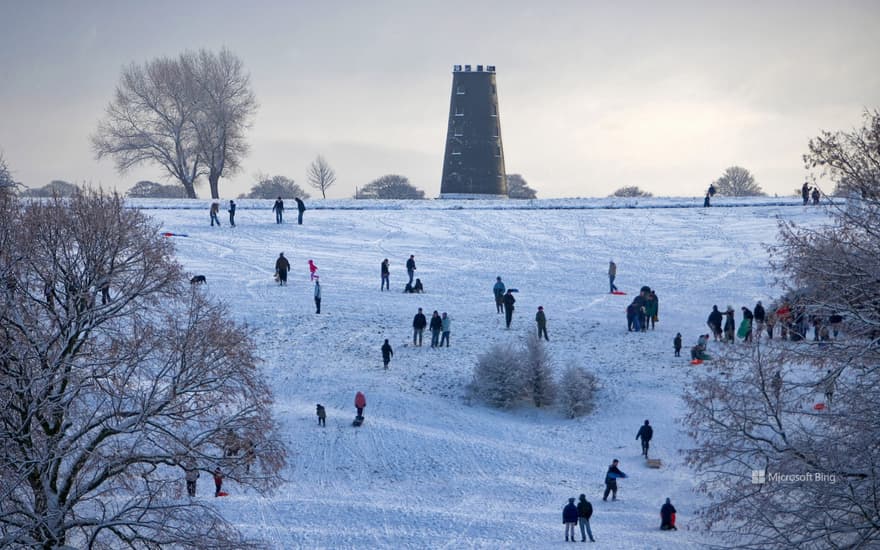 Beverley Westwood Common, East Yorkshire