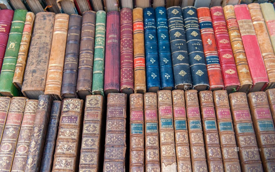 Antiquarian books in Dijon, Burgundy