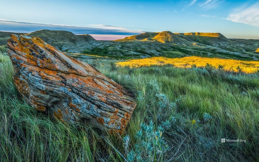 Grasslands National Park, Saskatchewan, Canada