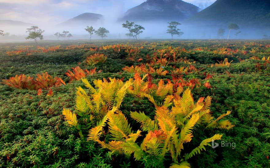 Hokkaido, Japan