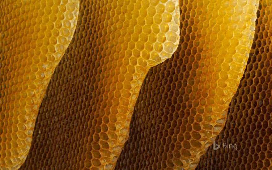 Honeycombs