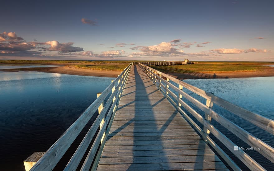 The Kellys beach boardwalk in Kouchibouguac National Park, New Brunswick