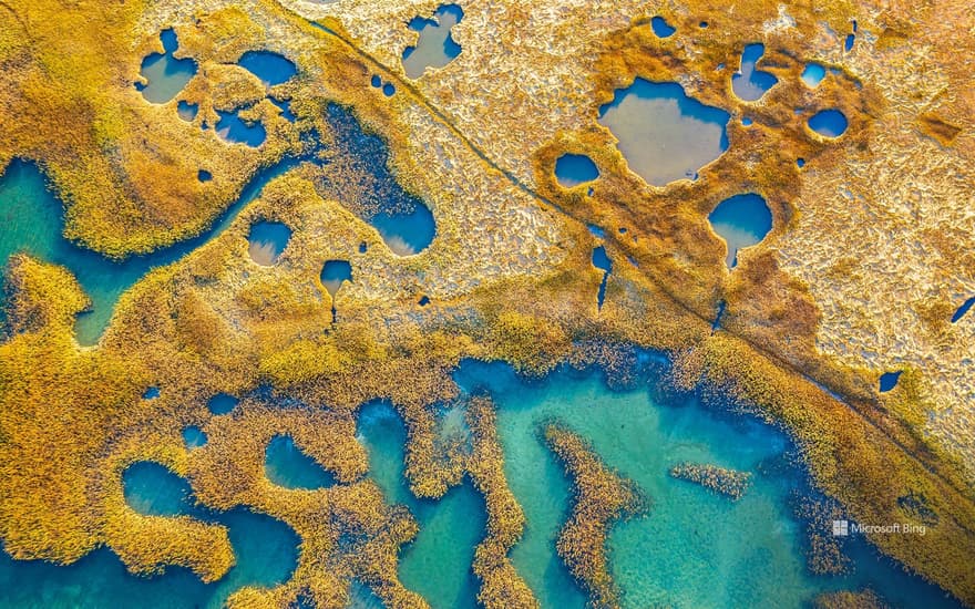 Marshland, Gloucester, Massachusetts