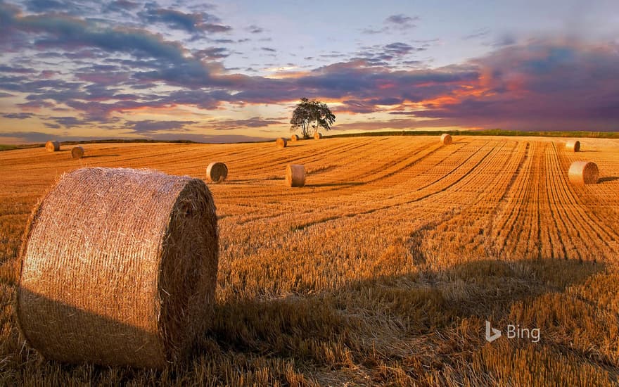 Hay bales in Jutland, Denmark