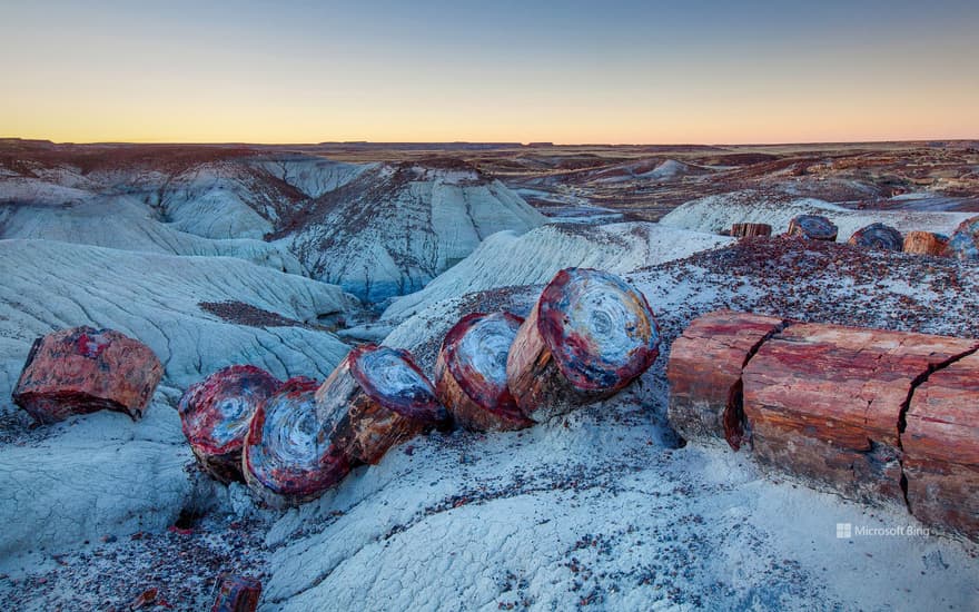 Petrified Forest National Park, Arizona, USA