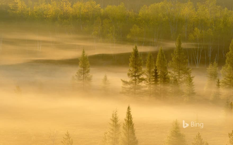 Spring trees in a misty valley, Lively, Sudbury, Ontario, Canada