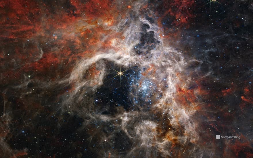 Young stars forming in the Tarantula Nebula, James Webb Space Telescope