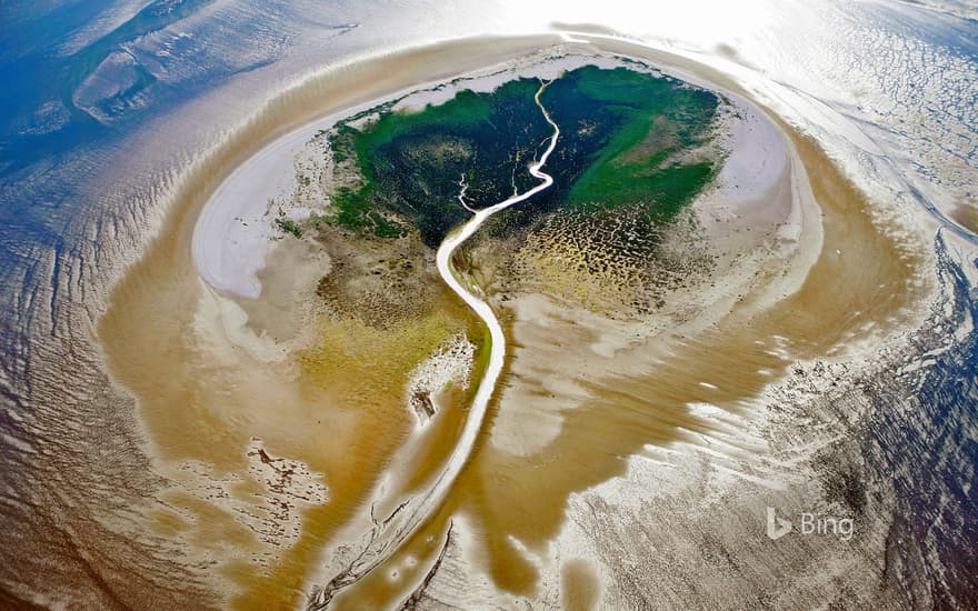 Zuiderduintjes in the West Frisian Islands, Netherlands