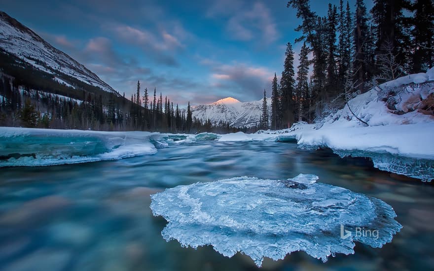 Ice-covered rock in Wheaton River, Yukon, Canada