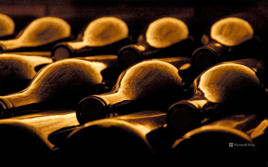 Empty wine bottles in a cellar in Beaujolais for Beaujolais Nouveau