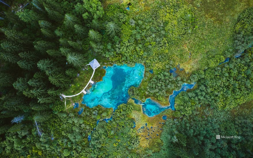 Zelenci Nature Reserve, Slovenia