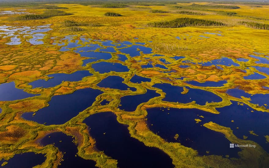 Aerial view of peatland in Martimoaapa Mire Reserve, Finland